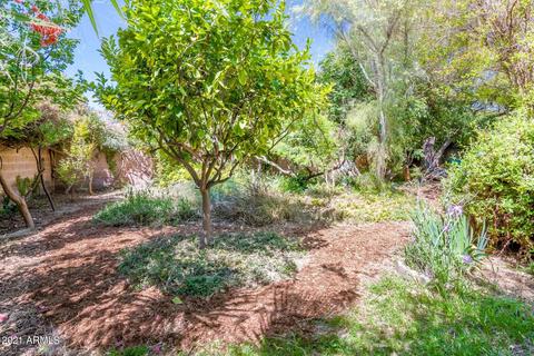 1929 E Gary St, Mesa, AZ 85203 photo 48