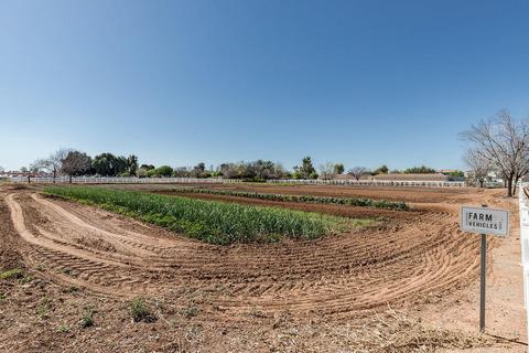 3011 E Camellia Dr, Gilbert, AZ 85296 photo 57