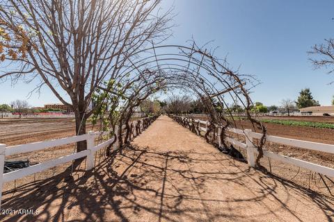 3011 E Camellia Dr, Gilbert, AZ 85296 photo 56