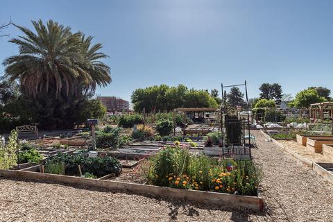 3011 E Camellia Dr, Gilbert, AZ 85296 photo 53