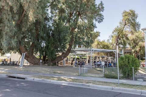 3011 E Camellia Dr, Gilbert, AZ 85296 photo 50
