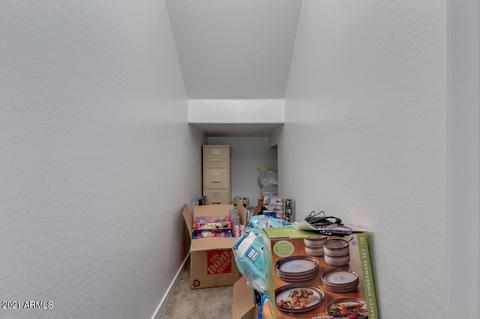 10641 E Nido Ave, Mesa, AZ 85209 photo 42