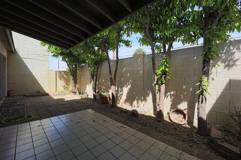 2842 E Avenida Olivos --, Phoenix, AZ 85016 photo 21