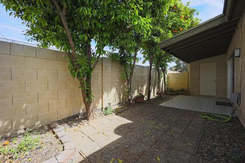 2842 E Avenida Olivos --, Phoenix, AZ 85016 photo 20