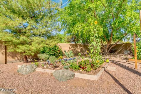1817 E Sagebrush St, Gilbert, AZ 85296 photo 46