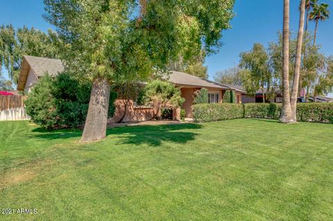 2628 E Yucca St, Phoenix, AZ 85028 photo 4