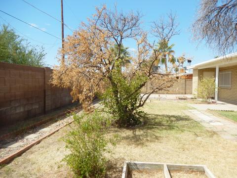 3225 E Palm Ln, Phoenix, AZ 85008 photo 37
