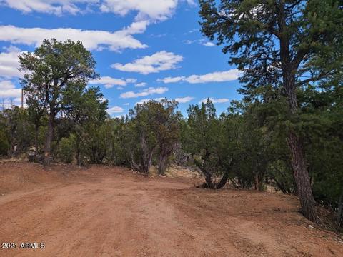 1956 Aspen Ln, Overgaard, AZ 85933 photo 32