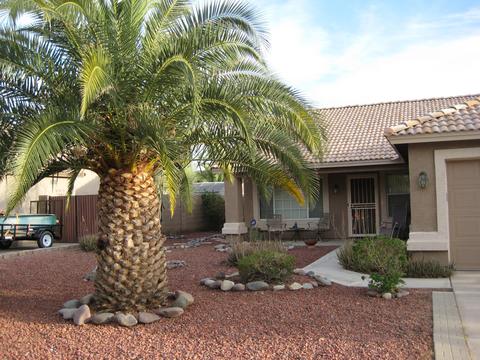1409 W 15th Ave, Apache Junction, AZ 85120 photo 3