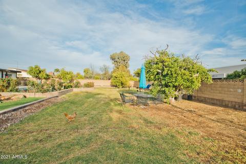 1915 E Glencove St, Mesa, AZ 85203 photo 41
