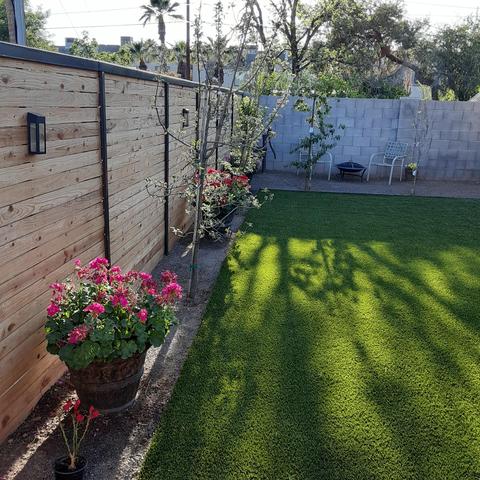 2207 E Turney Ave, Phoenix, AZ 85016 photo 29