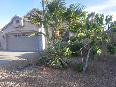 4713 E Charleston Ave, Phoenix, AZ 85032 photo 4