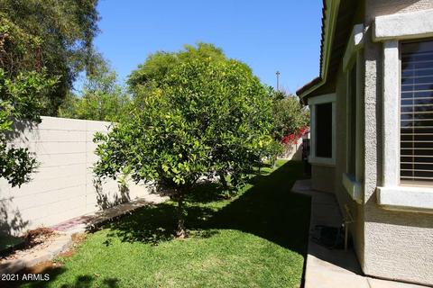 91 E Frances Ln, Gilbert, AZ 85295 photo 37