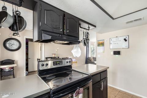 246 E Vine Cir, Mesa, AZ 85210 photo 9