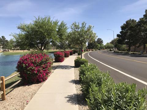 2222 S Harper St, Mesa, AZ 85209 photo 6