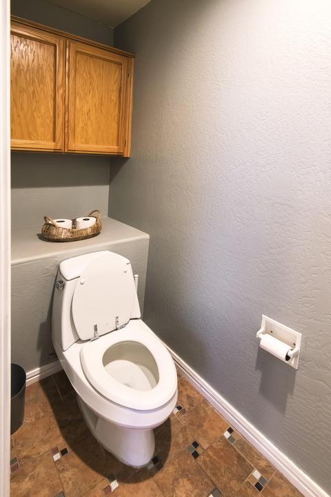 3408 E Squawbush Pl, Phoenix, AZ 85044 photo 19