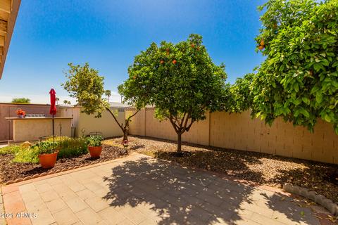 710 S 99th St, Mesa, AZ 85208 photo 7