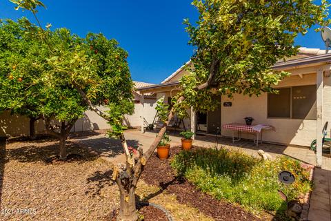 710 S 99th St, Mesa, AZ 85208 photo 5