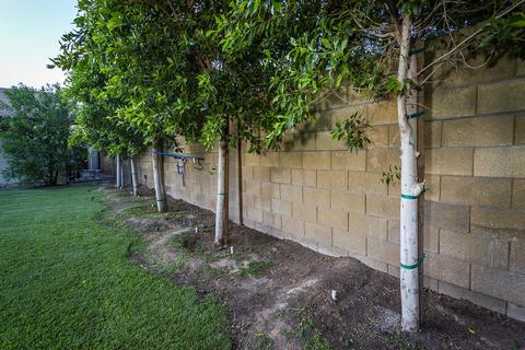 525 E Saint John Rd, Phoenix, AZ 85022 photo 36