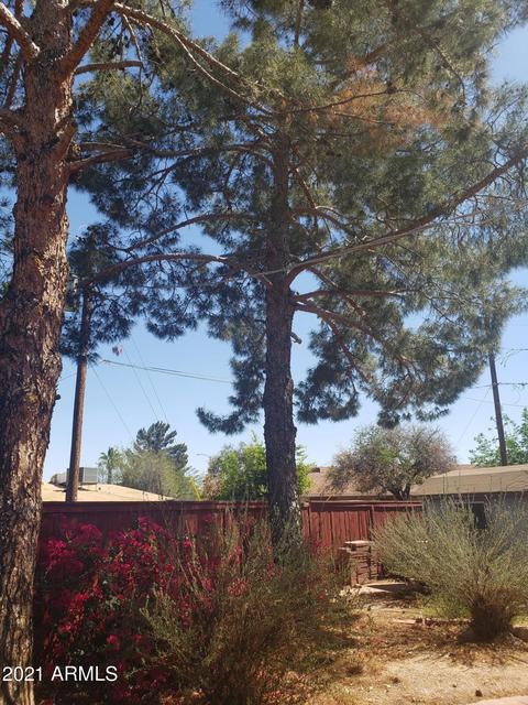953 E 9th Pl, Mesa, AZ 85203 photo 54