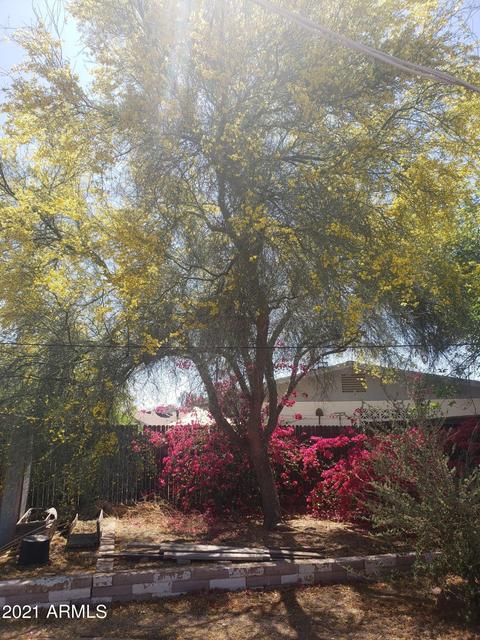953 E 9th Pl, Mesa, AZ 85203 photo 53