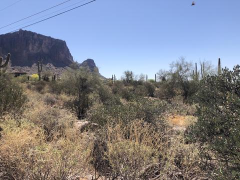5859 E Reavis St #*, Apache Junction, AZ 85119 photo 3