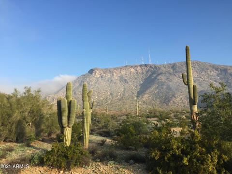 733 E Mountain Sky Ave, Phoenix, AZ 85048 photo 57