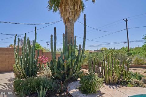 41 E Papago Dr, Tempe, AZ 85288 photo 16