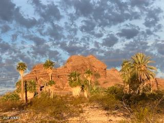 41 E Papago Dr, Tempe, AZ 85288 photo 24