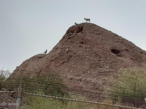 41 E Papago Dr, Tempe, AZ 85288 photo 26