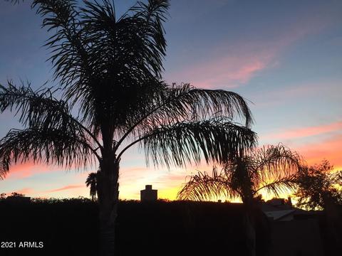 915 W Harvard Dr, Tempe, AZ 85283 photo 13