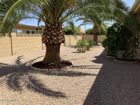 8136 E Meseto Ave, Mesa, AZ 85209 photo 25