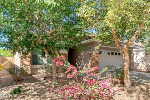 4203 E Sandy Way, Gilbert, AZ 85297 photo 5