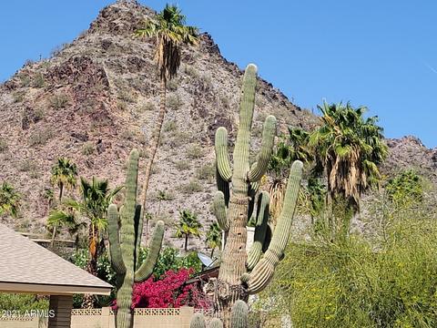 2230 E Lincoln Dr, Phoenix, AZ 85016 photo 41