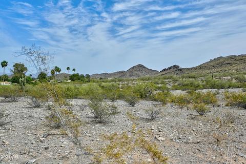 3128 E Puget Ave, Phoenix, AZ 85028 photo 69