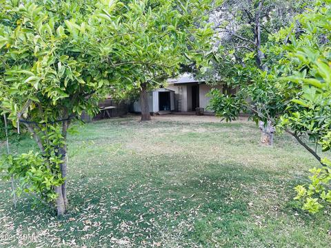 1049 E Nielson Ave, Mesa, AZ 85204 photo 11