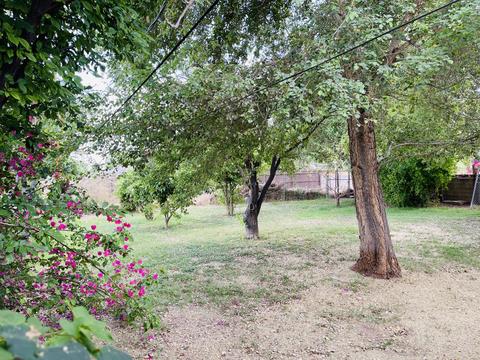 1049 E Nielson Ave, Mesa, AZ 85204 photo 13