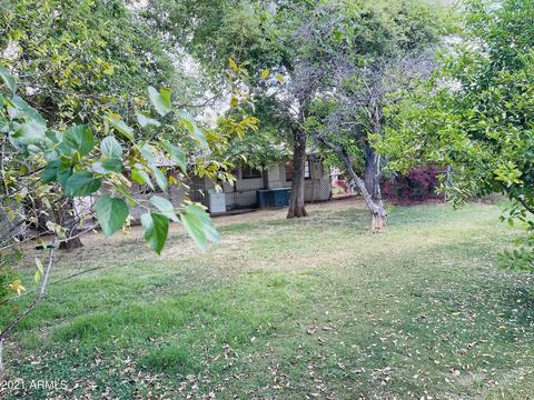 1049 E Nielson Ave, Mesa, AZ 85204 photo 12