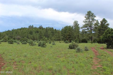 9801 Porter Mountain Rd #3-4, Lakeside, AZ 85929