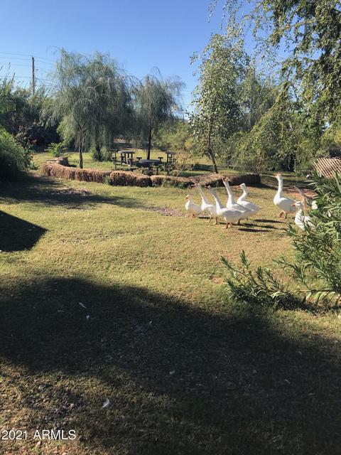 2720 E Southern Ave, Phoenix, AZ 85040 photo 4