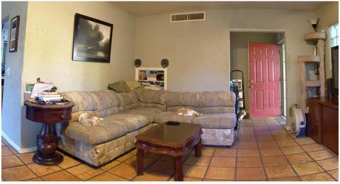 4432 N 20th St, Phoenix, AZ 85016 photo 3