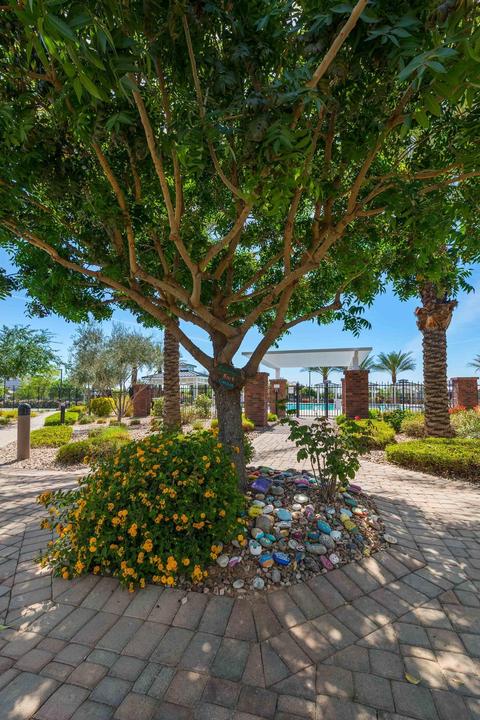 10116 E Nichols Ave, Mesa, AZ 85209 photo 65