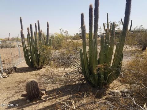 10433 E Mclellan Rd, Mesa, AZ 85207 photo 6