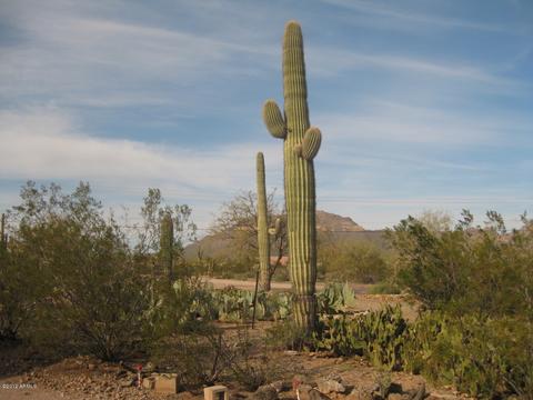 10433 E Mclellan Rd, Mesa, AZ 85207 photo 4