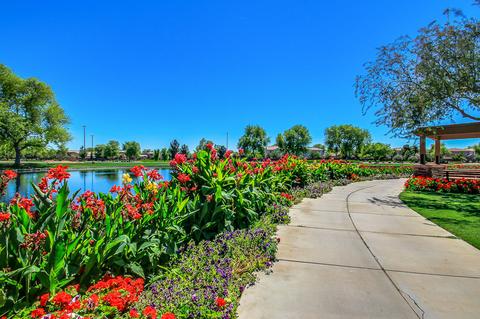 4151 E Marshall Ave, Gilbert, AZ 85297 photo 41