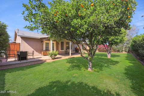3145 E John Cabot Dr, Phoenix, AZ 85032 photo 3