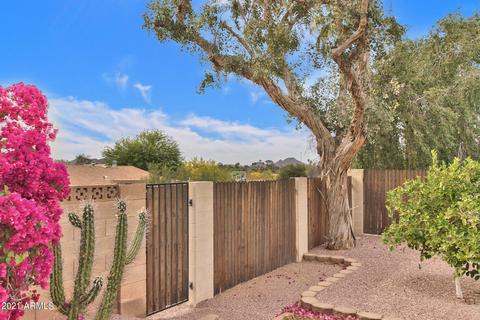 3137 E Malapai Dr, Phoenix, AZ 85028 photo 43