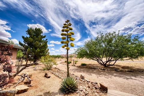 9499 S Springtail Dr, Hereford, AZ 85615 photo 41