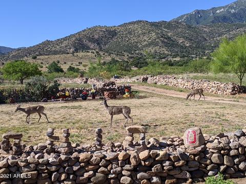3443 E Wild Rabbit Rd, Hereford, AZ 85615 photo 54