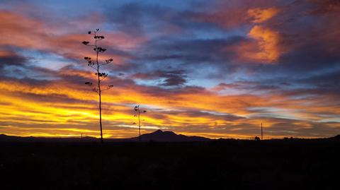 3443 E Wild Rabbit Rd, Hereford, AZ 85615 photo 52